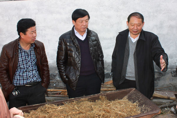 �����Ǿֳ�����ʮ����������ҽ����