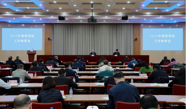 ũҵũ�岿����2024��������ҽ